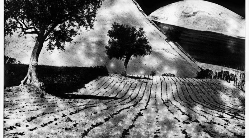 Da Presa di coscienza sulla natura (1977-2000). Campagna marchigiana © Archivio Mario Giacomelli, Senigallia