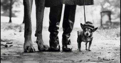 New York, USA, 1974 © Elliott Erwitt / Magnum Photos